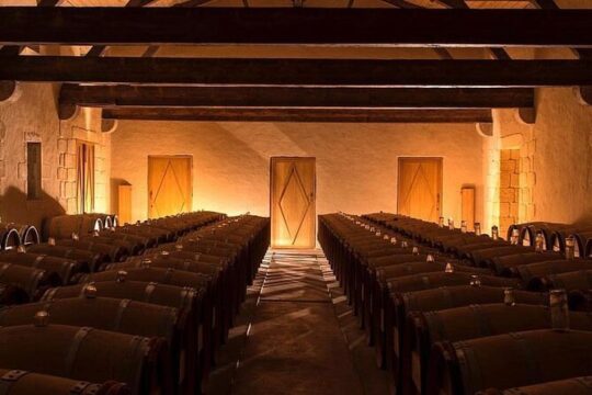 Full Day Tour Saint Emilion and Margaux