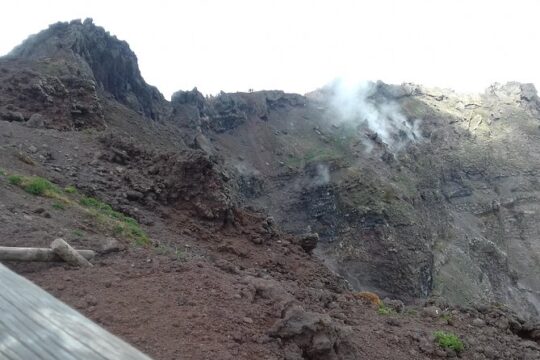 Transfer-Rome to Naples with a 2 hour stop in Mount Vesuvius or vice versa