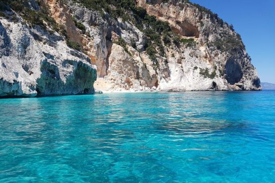 Daily sailing trip in the Orosei coves with lunch