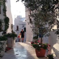 Private & Custom Tours