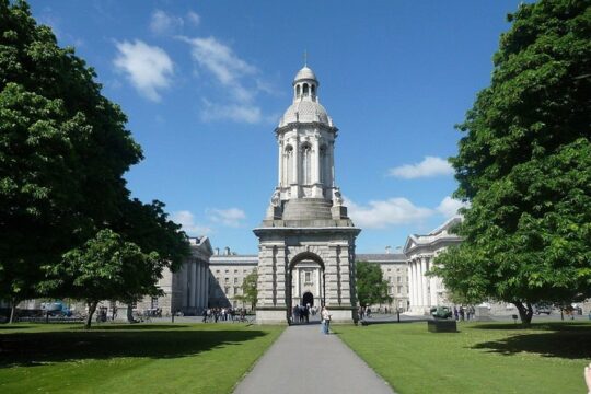Explore Dublin's Art and Culture with a Local