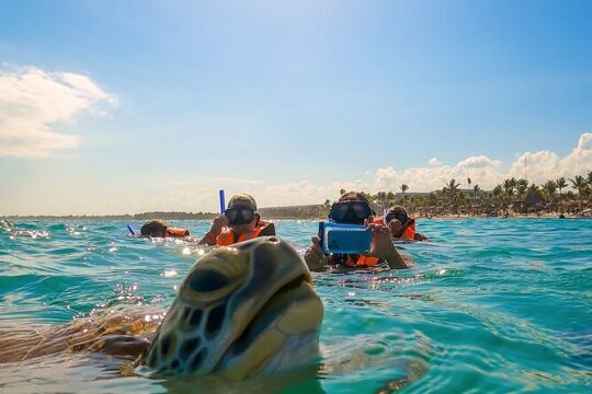 Tulum Turtles and Open Cenote
