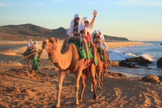 Tour 2x1: Arch + Camels + Mexican Lunch + Pick up!