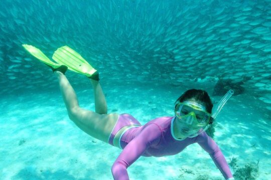 Discover an amazing world:Cenote exploration and jungle soaring. Buffet included