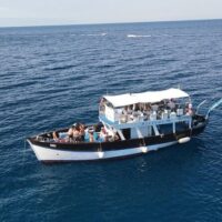 Cruises, Sailing & Water Tours