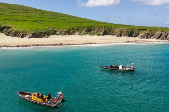 Blasket Island Sea Life Rib Tour,