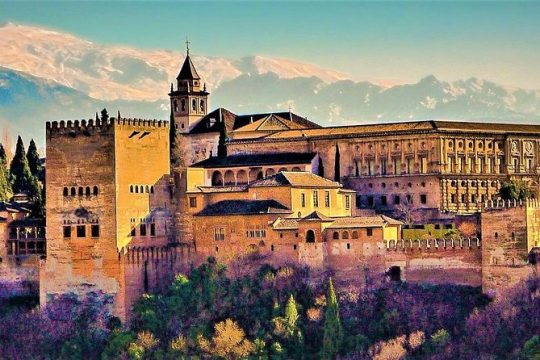 Full Alhambra tour with preferential access (SPANISH language)