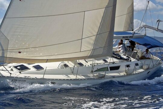 Private Sailing Through The Bay of Palma