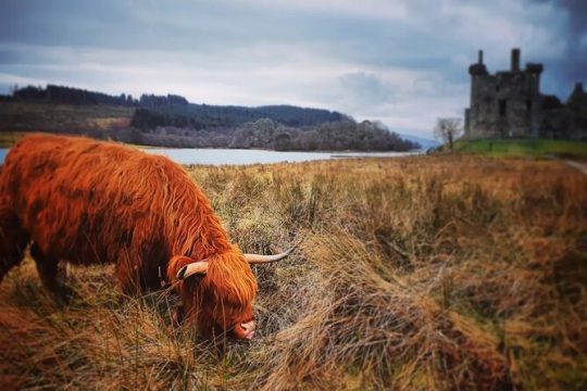 Full Day Private Tour in West Highlands, Oban and Glencoe