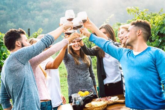 Florence: Chianti Wine Experience