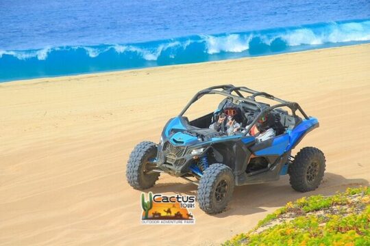 Mountain Bike Beach & Desert Tour in Cabo by Cactus Tours Park