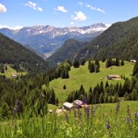 Rail Tours