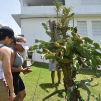 Plantation Tours