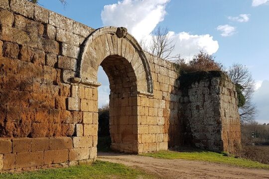 Trekking Excursion History and Nature the Ancient Falerii Novi from Rome