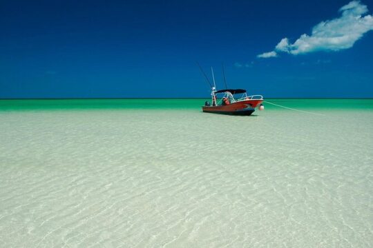 Full-Day Tour of Holbox Island with Lunch
