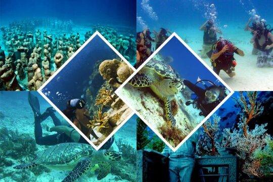 Diving + Muse