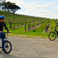 Full-day Tours