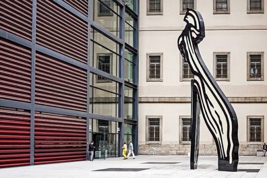 Explore the Reina Sofia Art Museum: Private 2.5-hour Guided Tour