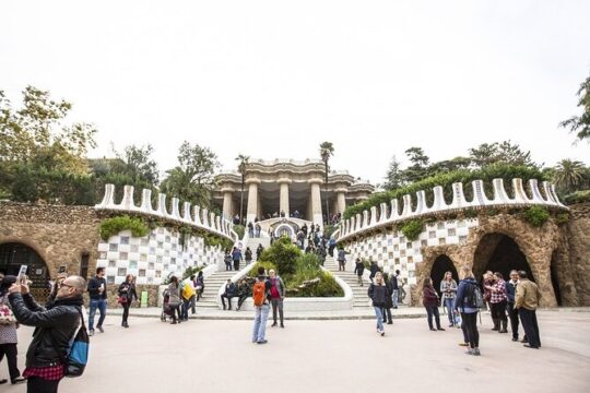 Park Güell Private Tour