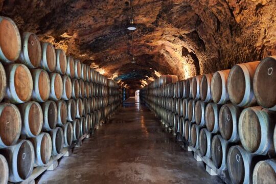 Rioja Full Experience Tour from San Sebastian with Lunch