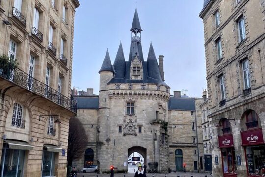 Bordeaux in a Day City and Chateau Visit Shared Walking Tour