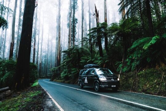 Private Mornington Peninsula Hike and Hot Springs Tour