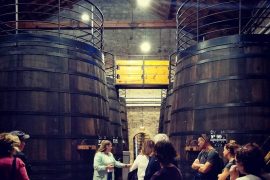 2 wineries tasting & quaint villages 6 hours wine tour in Madrid