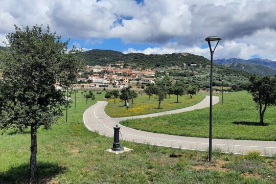 Visit to the Wine Museum with Wine Tasting in Berchidda