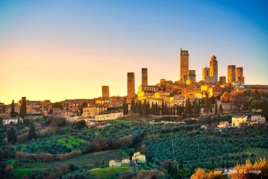 Private tour Siena, San Gimignano and Monteriggioni, lunch in the cellar