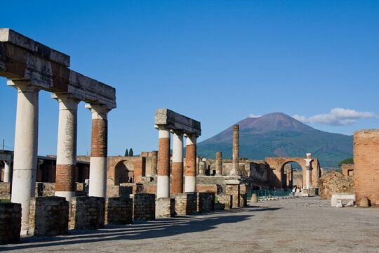 Pompeii Skip-the-Line with Lunch and Wine Tasting from Rome