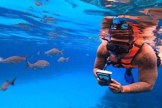 8-Hour Private 44' Leopard Catamaran Tour to Cozumel Beach w/Food & Open Bar