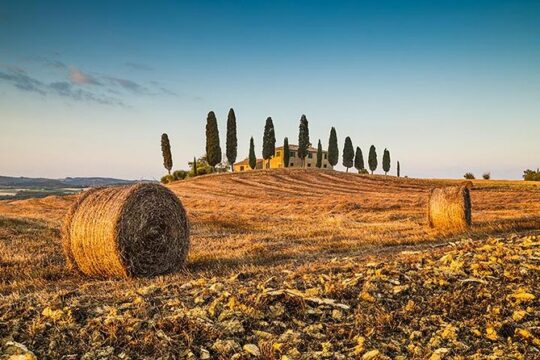 Private Chianti Tuscany Wine Tasting Tour from Florence
