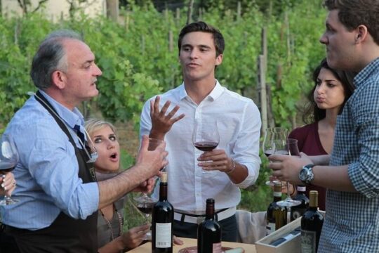 Private Tour: Siena & San Gimignano from Rome with Wine Tasting