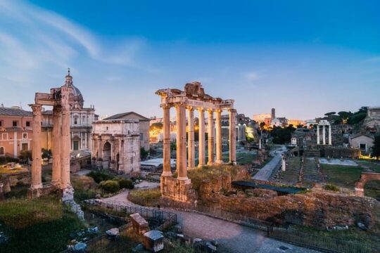 Private Ancient Rome & Vatican tour driver and guide (8/h)