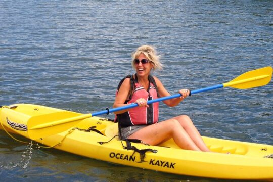Mangrove Lagoon Kayak Rental in St Thomas