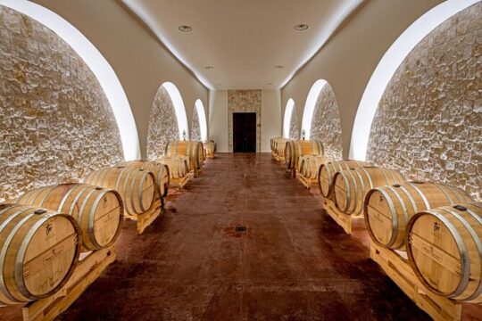 Wine and Food Pairing Experience at Alberobello Winery