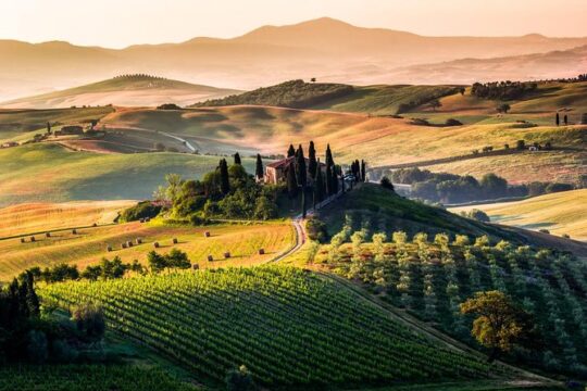 Val d'Orcia private tour: Montalcino, Pienza and Montepulciano