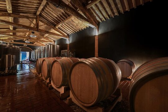 Guided Winery Tour and Wine Tasting in Siena