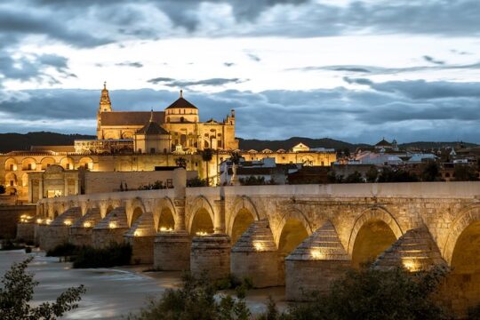 Private Tour Cordoba from Sevilla