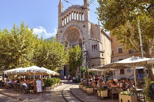 Valdemossa Half Day Tour