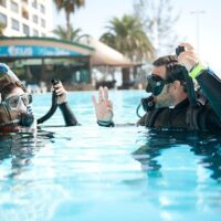 Scuba Diving