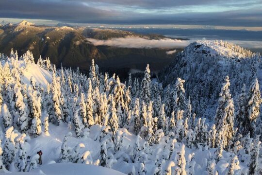 Vancouver Panoramic View Hike