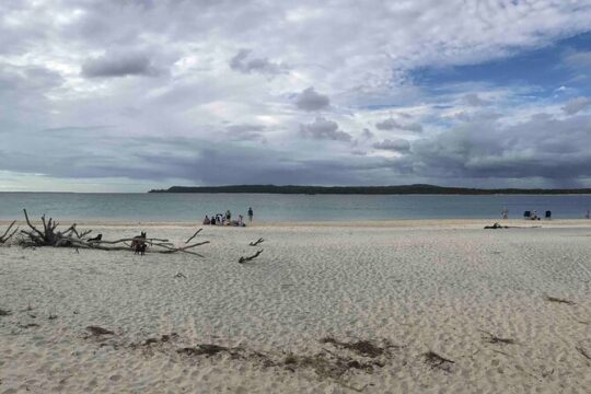 Rainbow Beach Tour with Lunch, Carlo Sandblow, and Cooloola