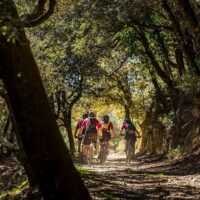 Half-day Tours