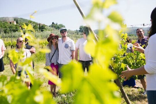 Tour & Tasting