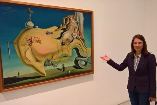Prado and Reina Sofia Museums Private Tour