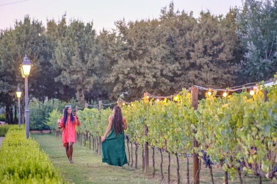 Afternoon in Siena and Chianti Wine Tour with Dinner from Florence