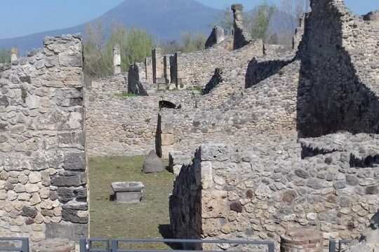 Rome to Naples Area with a 120 minutes stop in Pompeii or vice versa