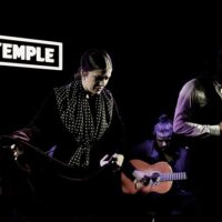 Shows, Concerts & Sports