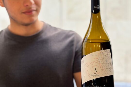 Malaga City Wine Tour